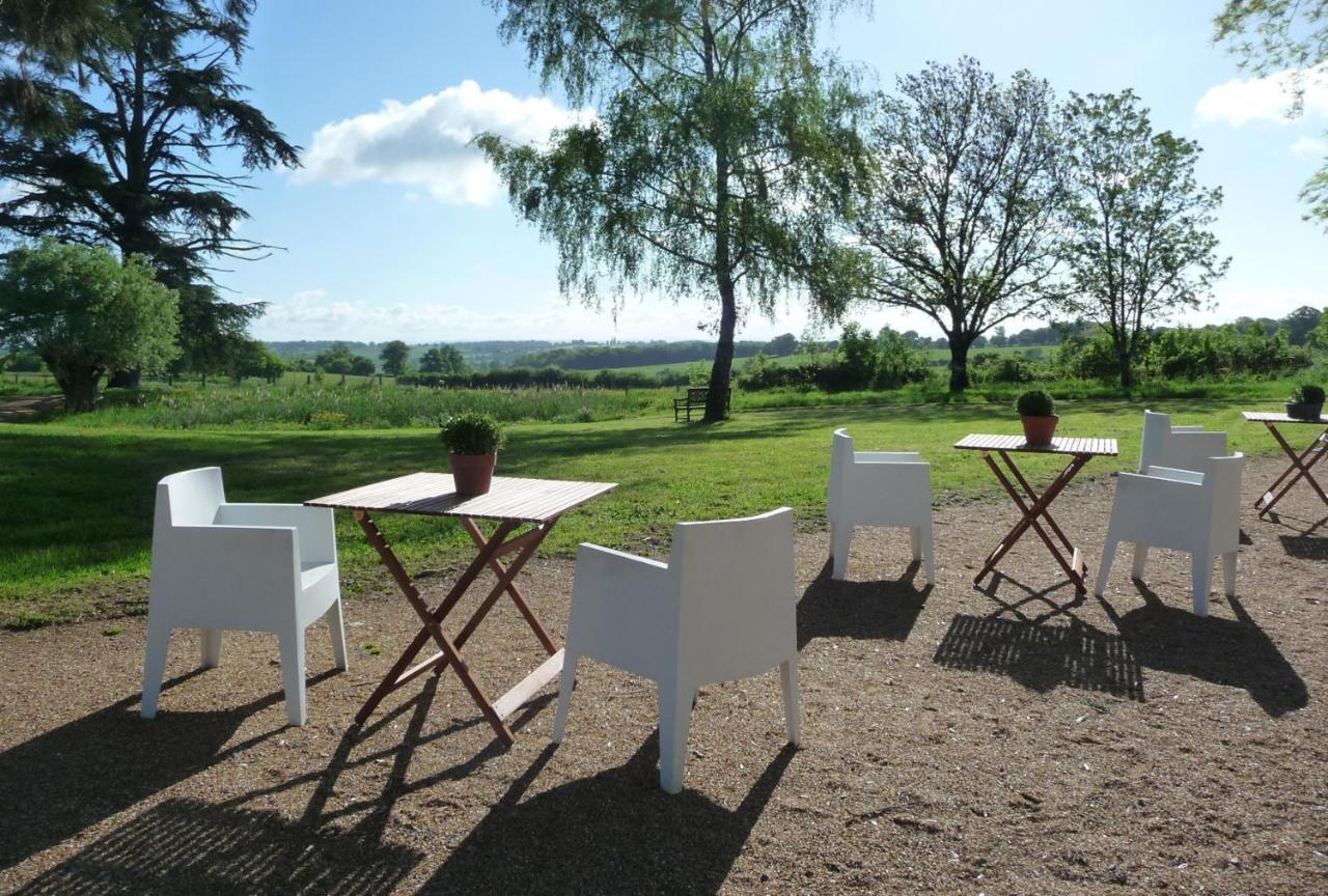 Domaine De Savigny Saint-Saulge
